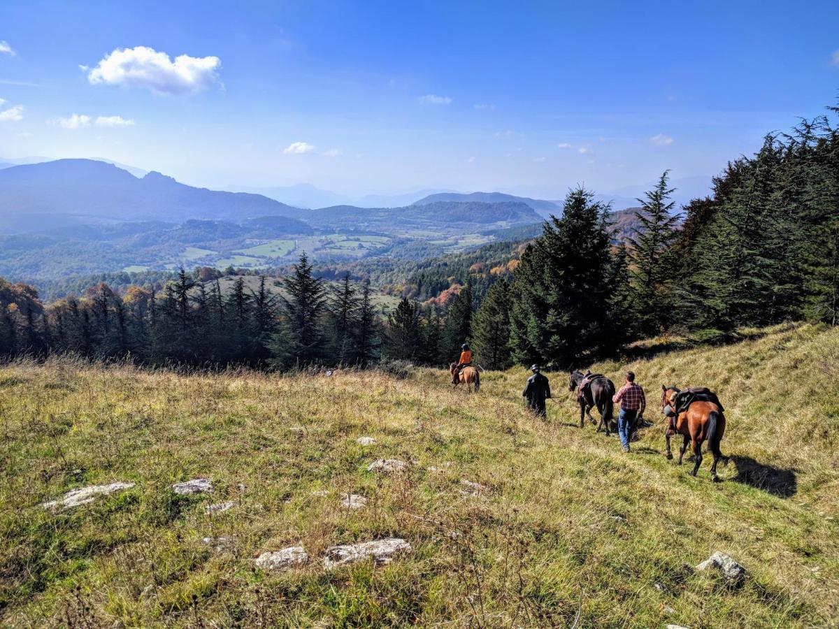 Hotel Capracotta Luaran gambar